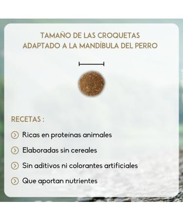 NUTRIVET - INNE Dog - Grain-free kibble - Puppy - Chicken - 80% ingredients of animal origin - 12 kg - Buy Online on GoSupps.com