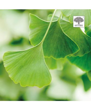 New Nordic Ear Tone Tablets - 30 Tablets for Ear Health Support - Buy Online on GoSupps.com