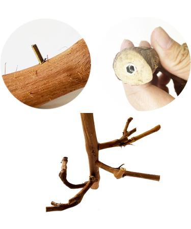 Allazone Natural Wood Bird Accessories - Parrots Climbing Bars & Grape Branches for Bird Cages - Buy Online on GoSupps.com