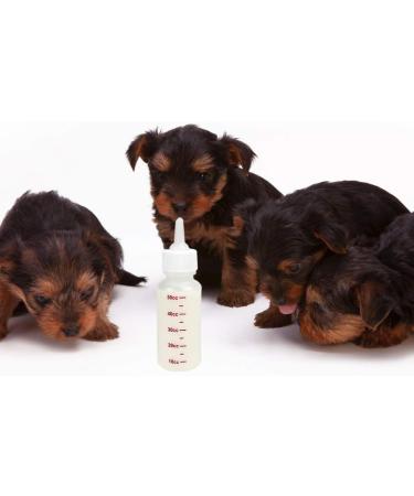 Baby Pet Feeding Bottle 50 Ml Squeeze Liquid Bottle for Kitten Puppy Small Animals Feeding Tool Pointed Milk Feeder with Scale 6 Pcs - Buy Online on GoSupps.com