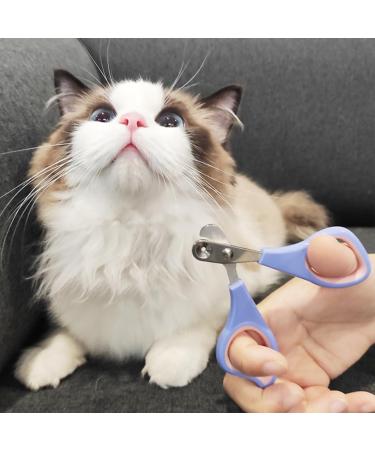 Buy Ingjia Claw Scissors for Cats | Durable Stainless Steel Nail Cutter for Kittens Rabbits & Small Animals - Ergonomic & Safe - Buy Online on GoSupps.com