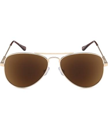 Shop Aviator Sun Readers - Stylish UV400 Sunglasses for Men & Women | Dark Brown & Grey Reading Glasses for Travel - Buy Online on GoSupps.com