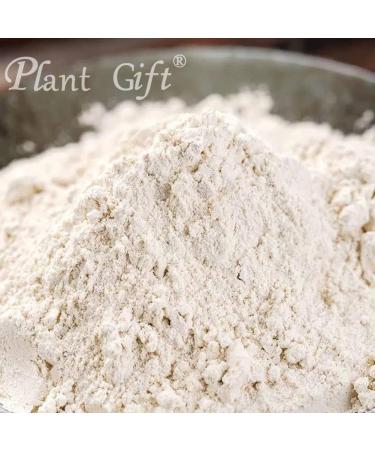 100% Pure Garlic Powder - Natural Healthy Spice for Smoothies, Cookies & Beverages - Non-GMO, No Fillers/Additives - 100g/3.25oz - Buy Online on GoSupps.com