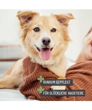 Reavet 2-in-1 Fur Comb for Medium & Long-Haired Dogs & Cats | Ideal for Daily Fur Care & Knot Removal - Buy Online on GoSupps.com