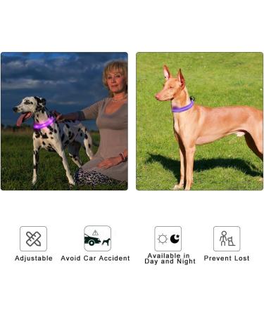 Buy Masbrill LED Dog Collar - Waterproof Luminous Safety Collar with 3 Flashing Lights for Small to Large Dogs (Purple 48-60cm) | International Shipping Available - Buy Online on GoSupps.com