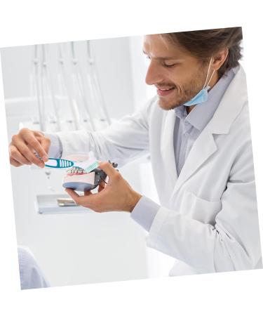 Plafope 2-Piece Denture Cleaning Brush Set - Prothesis Toothbrush for Optimal Oral Hygiene - Buy Online on GoSupps.com