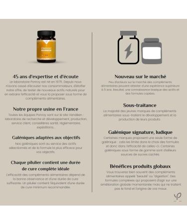 Yves Ponroy - Food supplement 11 vitamins - Tone and energy - Vitamin B12 Vitamin D Vitamin C Vitamin E Zinc and suprabiotics - 60 capsules - Made in France - Buy Online on GoSupps.com