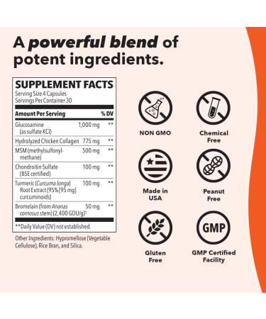 LifeSeasons Mobili-T Joint Support Supplement - Glucosamine Chondroitin MSM Collagen & Turmeric - Reduce Inflammation & Improve Mobility - 208 Capsules - Buy Online on GoSupps.com