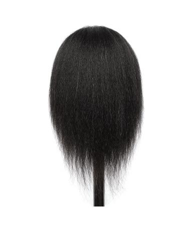 14 Inch D-D Mannequin Head with 100% Real Human Hair for Hairdresser Practice - Free Clamp Stand Included - Buy Online on GoSupps.com