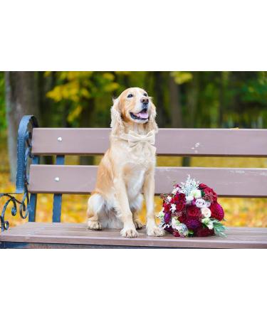 Comfortable Silk Dog Collar with Removable Fly for Small Dogs | Lionet Paws - 25-40cm White - Buy Online on GoSupps.com
