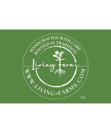 Organic Poke Root & Castor Oil Salve | Vegan Lymphatic Support | Enriched with Essential Oils | Cysts Boils Fibroids Swollen Lymph Nodes Breast & Joint (1oz Frankincense) - Buy Online on GoSupps.com