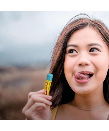 Carmex Naturally Stick Berry Natural lip care for a supple result 1 piece of 4.25 g - Buy Online on GoSupps.com