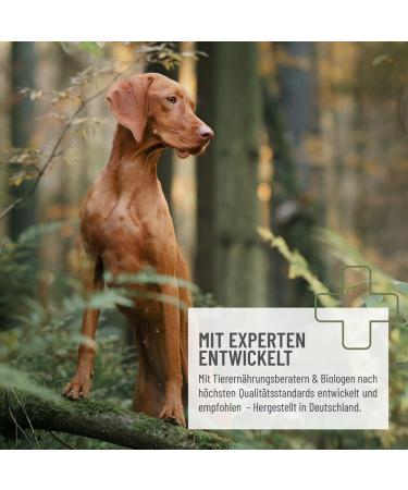 Reavet Hemp Powder for Dogs 120g - Natural Calming & Relaxation Formula 100% Additive-Free Ideal for Stress & Fear Relief - Buy Online on GoSupps.com