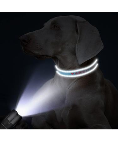 Buy Tagme Personalized Dog Collar for Small Dogs - Embroidered Reflective Nylon Sky Blue XS (1 Pack) - Custom Pet Name & Phone Number - Buy Online on GoSupps.com