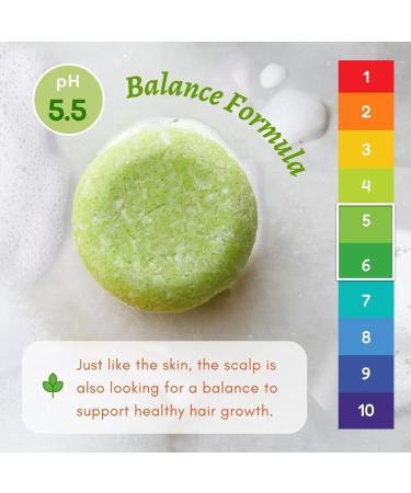 Shampoo Bars and Conditioner Set 3 - Rice Water & Coconut - Nourish & Moisturize Hair - Sulfate & Silicone Free - Solid Soap Easy for Travel (Rice Water) - Buy Online on GoSupps.com