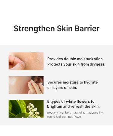 Natural Glow Facial Serum | 86% Vitamin Tree Extract | Korean Vegan Skincare for Sensitive Skin | 1.0 fl oz - Buy Now - Buy Online on GoSupps.com
