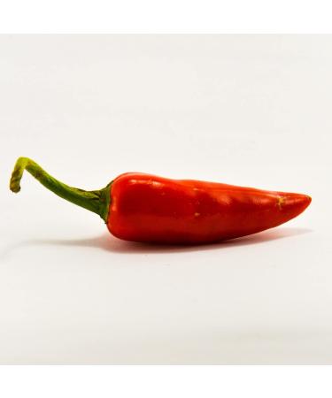 Organic Jalapeno Chili Powder 125g | 100% Pure & Natural | Ground from Controlled Organic Cultivation - Buy Online on GoSupps.com