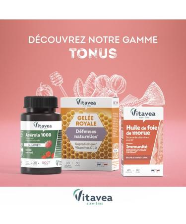 VITAVEA WELL-BEING - Adult Multivitamin Gummies - 11 Vitamins and Minerals - Fatigue Energy Immunity - Vitamin C Vitamin D Vitamin B12 Zinc - Lemon Flavor - 20 gummies - 20 days - Buy Online on GoSupps.com