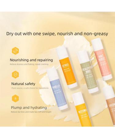 Natural Oil Lip Balm 6 Pack Hydrating Moisturizer for Dry Lips Soothing Long Lasting Lip Care Set White One Size One Size White - Buy Online on GoSupps.com