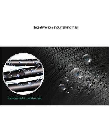 Professional Hair Dryer 2400W AC Motor Negative Ionic Technology Blow Dryer with 3 Heat & 2 Speed Setting and Cool Shot Button Concentrator Nozzle Included for Home and Salon Men and Women B Small - Buy Online on GoSupps.com