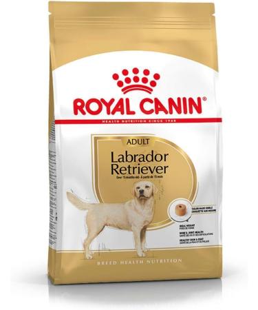 Royal Canin Labrador Retriever Adult Dog Food 12kg - Buy Online on GoSupps.com
