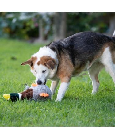 Petface Honking and Squeaky Duck Plush Dog Toy - Interactive Pet Play Toy - Buy Online on GoSupps.com
