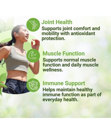 NEW ROOTS HERBAL Turmeric Curcumin Supplement 500mg with Black Pepper Extract - 20x Better Absorption | Coumarin Capsules with 95% Curcuminoids & 95% Piperine (90 Veg Capsules) Unflavored - Buy Online on GoSupps.com