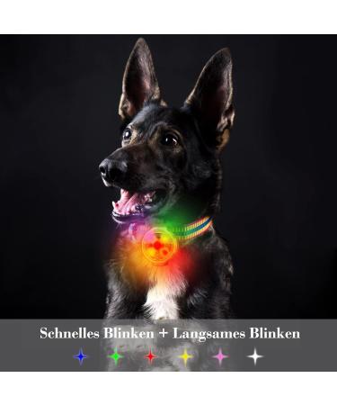 FTTouuy Safety LED Flashing Light for Dogs & Cats - USB Rechargeable Waterproof Colorful Pet Safety Light for Night Walks | International Shipping Available - Buy Online on GoSupps.com
