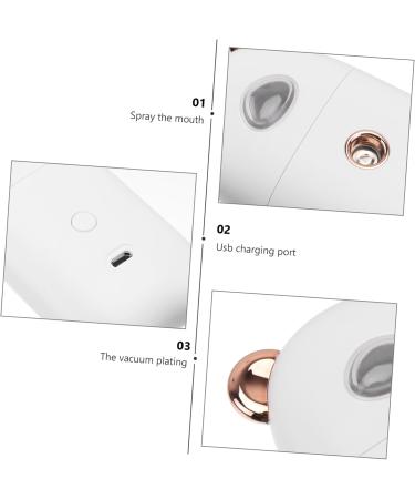 FOMIYES 2 Pcs Beauty Humidifier Portable Facial Mister Skin Moistener Face Sprayer Care Evaporator - Buy Online on GoSupps.com
