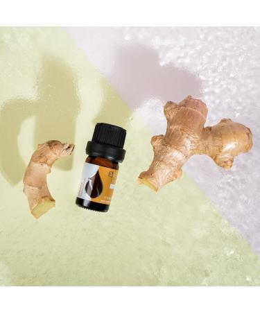 Organic Ginger Essential Oil 5ml | 100% Pure & Natural | Therapeutic Grade Aromatherapy Oil | Cruelty-Free & Vegan - Buy Online on GoSupps.com