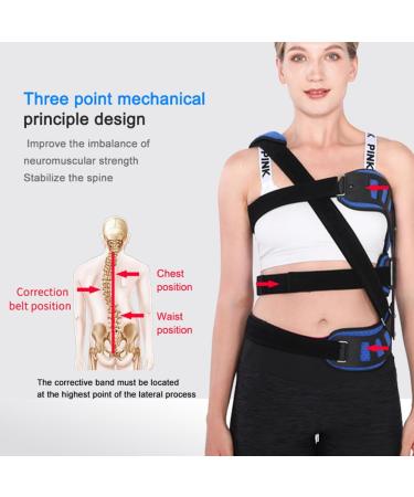 Adjustable Scoliosis Corrector Back Brace | Posture Therapy Orthosis for Men & Women - Blue - Buy Online on GoSupps.com
