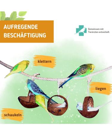 Buy Bird Swing for Budgies & Cockatiels | Coconut Swing & Accessories for Happy Pets - Buy Online on GoSupps.com