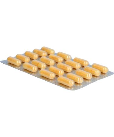 Avitale Coenzyme Q10 Complex Capsules - 100mg Plant-Based Q10 & Vitamin C - 120 Count for Energy & Antioxidant Support - Buy Online on GoSupps.com