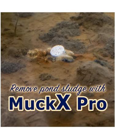 MuckX Pro Pond Sludge Remover - Beneficial Bacteria for Pond & Lake Muck Removal (4.53 kg) - Buy Online on GoSupps.com
