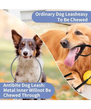 Mi Metty Chew Proof Dog Leash Extension Rope - 24 inch/60cm - Non-Tangle Training Leash - Orange+Purple - Buy Online on GoSupps.com