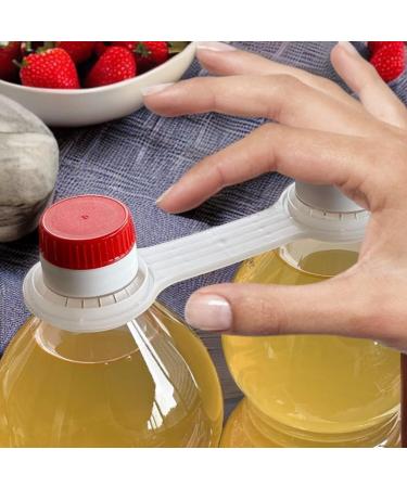 ACETUM DE MODENA Apple cider vinegar environmentally friendly without preservatives or preservatives Bio unfiltered and unpasteurized 2L 2 bottles 1 l The best for your health - Buy Online on GoSupps.com