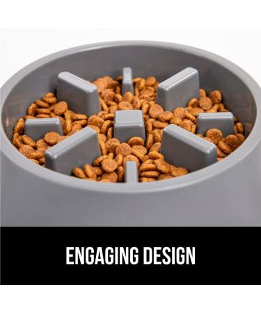 Slip Resistant Slow Feeder Dog Bowl | Improve Pet Digestion | Prevent Overeating | 2 Cup Gray - Buy Online on GoSupps.com