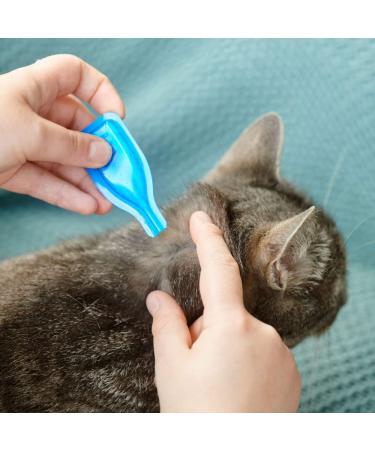 Beaphar FIPROtec Spot-On for Cats & Kittens from 8 Weeks | Kills Fleas & Ticks | Vet Strength Treatment | Easy to Apply | 4 Pipettes - Buy Online on GoSupps.com