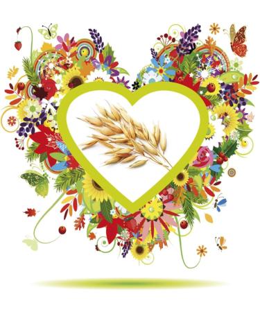 Herbodiet Oat 1 50 ml by Nova Diet - Buy Online on GoSupps.com