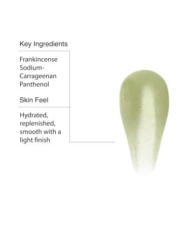 Aesop Geranium Leaf Body Cleanser + Scrub | 16.9 oz + 6.2 oz - Buy Online on GoSupps.com