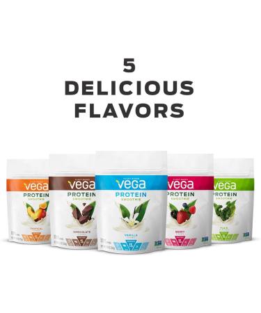 Vega Protein Smoothie Berry Plant Based Powder 9.2oz - Vegan Keto-Friendly Gluten Free Non-GMO Dairy Soy Lactose Free - 12 Servings - Buy Online on GoSupps.com