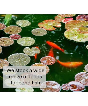 Sinking Bottom Feeder Pond Pellets 1kg Premium Quality Complete Food - Buy Online on GoSupps.com