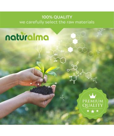 Licorice Root Alcohol-Free Tincture by Naturalma - 4 fl oz Liquid Extract | Herbal Supplement Vegan - Product of Italy - Buy Online on GoSupps.com