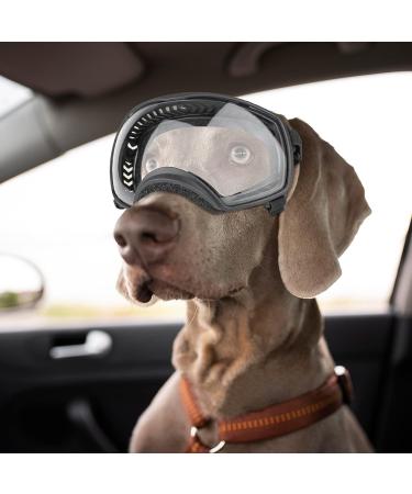 NAMSAN Dog Goggles | Clear UV Protection Sunglasses for Medium-Large Breeds | Anti-Fog, Windproof & Transparent Lens | Outdoor Eye Safety - Black - Buy Online on GoSupps.com