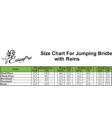 ExionPro Soft Padded Pressure Relief Crown Piece Bridle Set | Oak Brown | Full Size - Buy Online on GoSupps.com