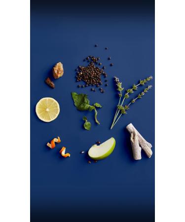 Jack Black Blue Midnight Hair & Body Cleanser 10oz - Refreshing Cleansing for Hair and Body - Buy Online on GoSupps.com