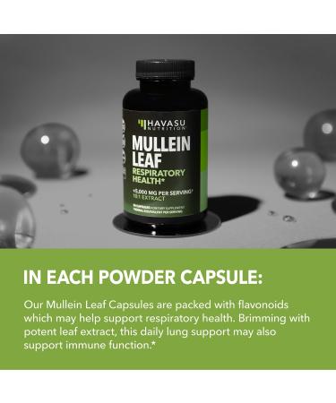 HAVASU NUTRITION Organic Black Seed Oil Liquid + Mullein Leaf Capsules Bundle - Buy Online on GoSupps.com