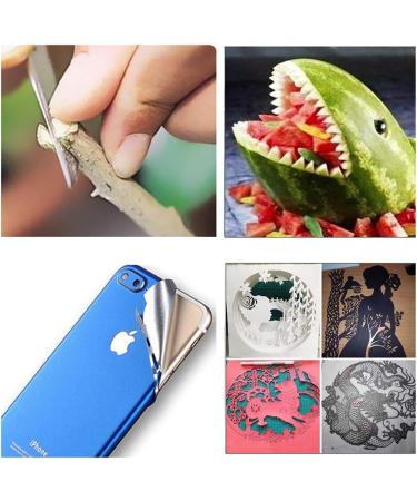 ABMRO Scalpel Blades #11 with #3 Handle Sterile Single Blade Razor for Dermaplaning Dissection Podiatry and Grooming - Buy Online on GoSupps.com