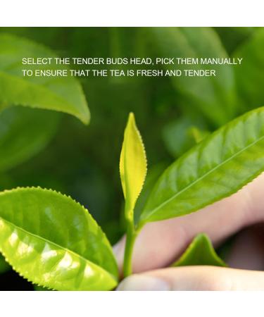 Jiangsu Biluochun Tea Chinese Green Tea Pi Lo Chun Tea Loose Leaf Tea with Gift Box Small Packages for Guests Receiving Morning Afternoon Parties Tea - Buy Online on GoSupps.com
