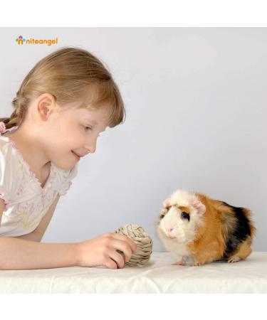 Niteangel Natural Chew Activity Toys for Small Animals - 4 Fun Hay Grass Pet Balls for Chinchilla, Guinea Pig, Rabbit, Hamster, Gerbil, Degu, and More - Buy Online on GoSupps.com